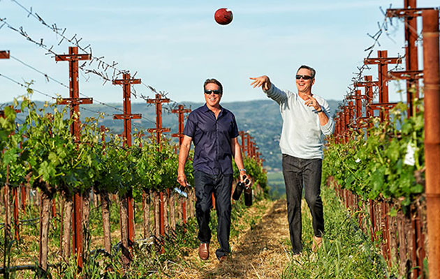 athletes-wine.jpg